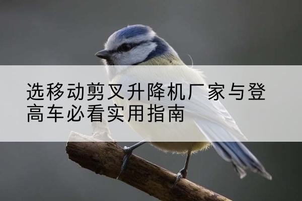 邵阳电动升降机厂家-选移动剪叉升降机厂家与登高车必看实用指南