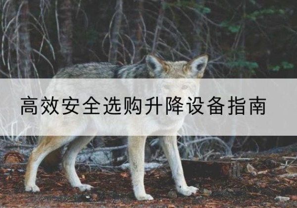邵阳升降货梯厂家推荐-*安全选购升降设备指南
